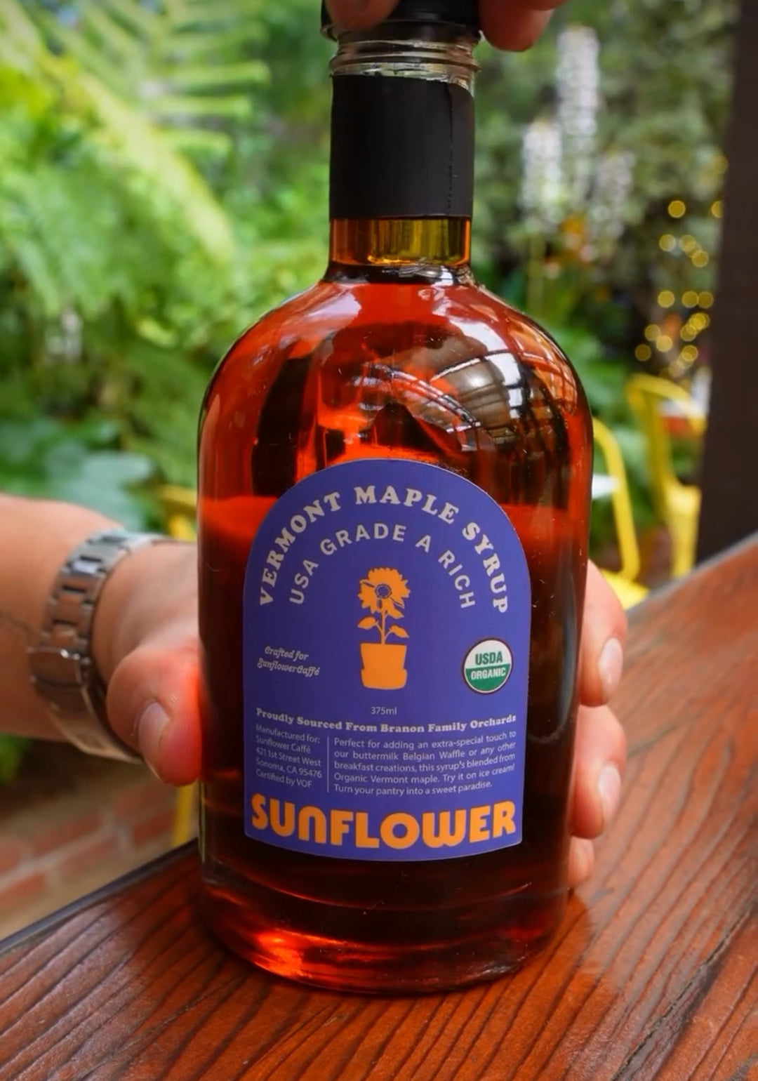 Maple Syrup!