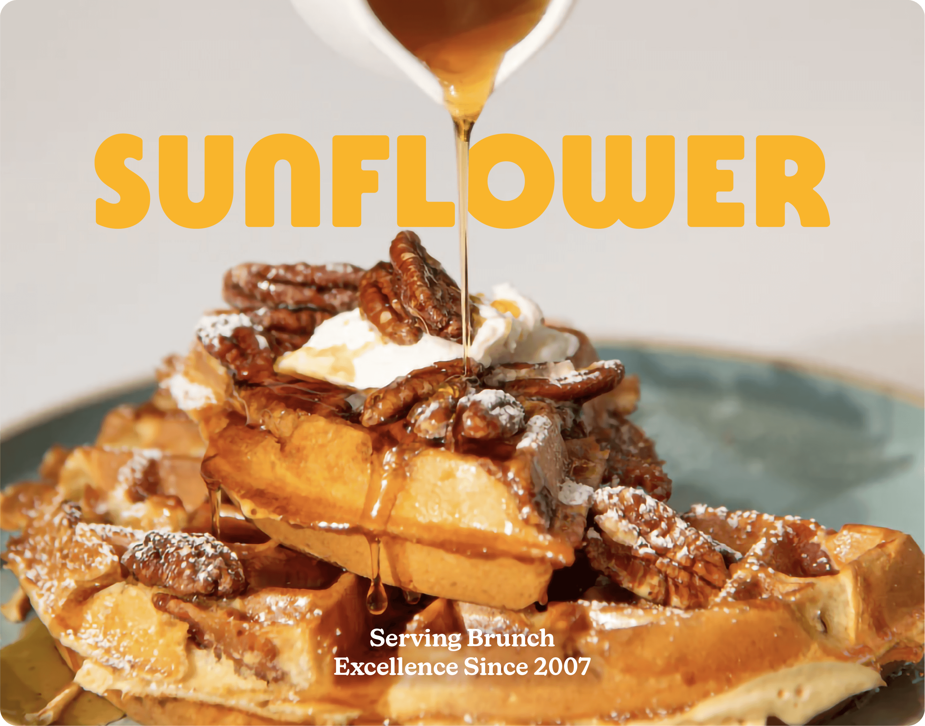 Sunflower Caffé gallery