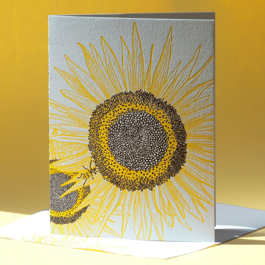 Sunflower Plain Card